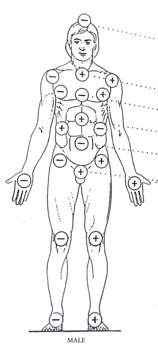 Male — Natural